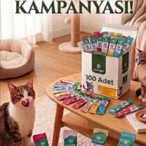 Kedi Sıvı Ödül Kolisi 100 Adetlik