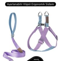 Köpek gezdirme tasması küçük boy